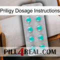 Priligy Dosage Instructions 28